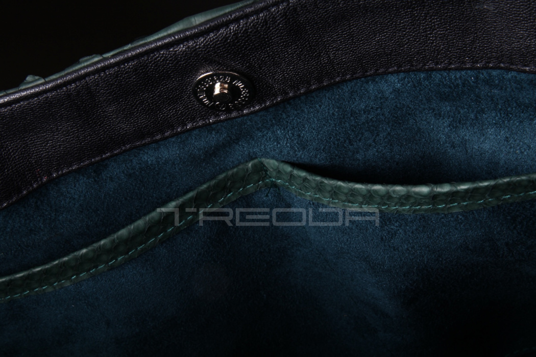 Сумка из кожи питона