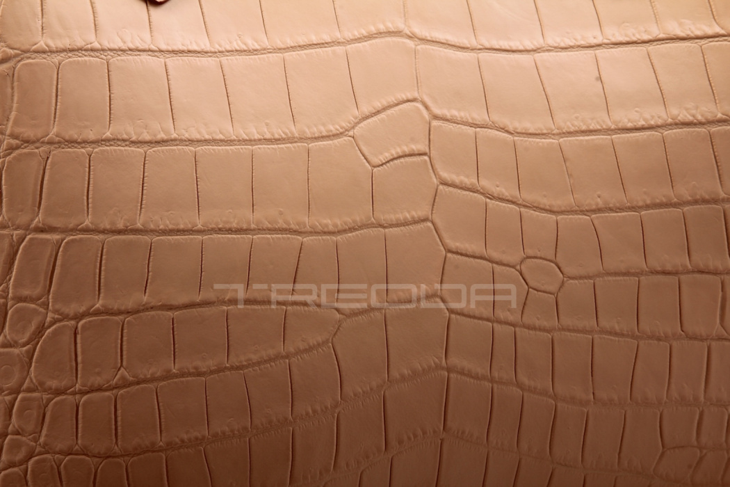 Сумка из кожи крокодила, large